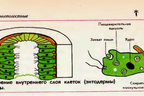 Кракен не работает сегодня