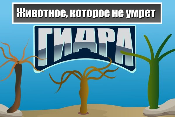 Кракен сайт в тор браузере