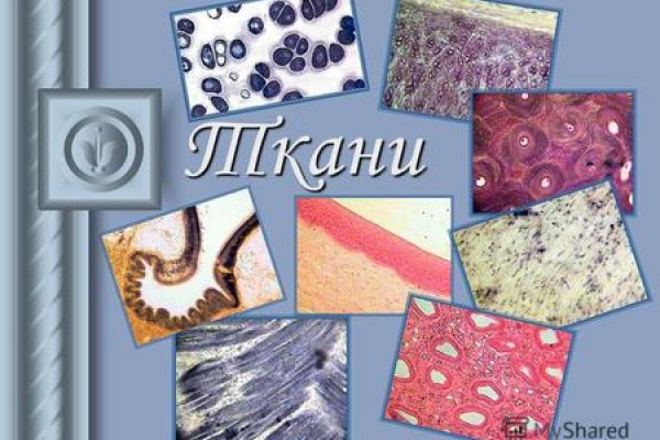 Кракен войти